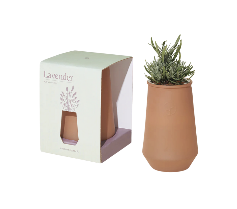 Hydro Grow Kits / Lavender